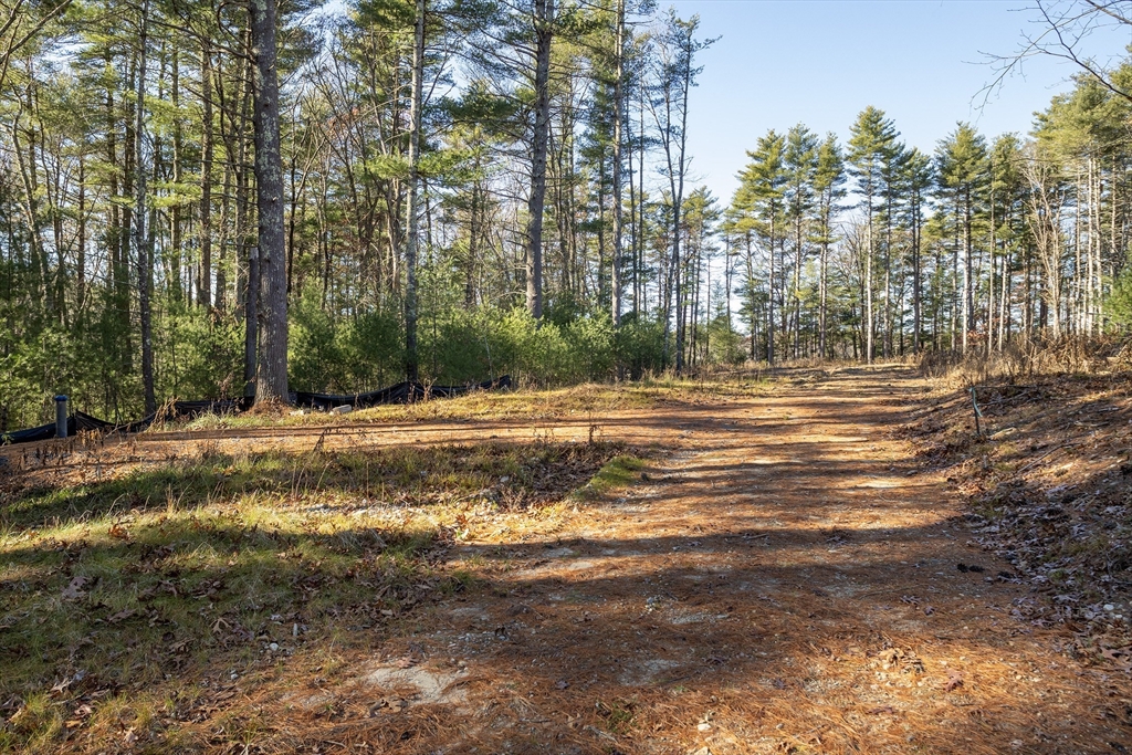 72 Prospect Road, Plympton, Massachusetts, ,Land,For Sale,Prospect Road,73315132