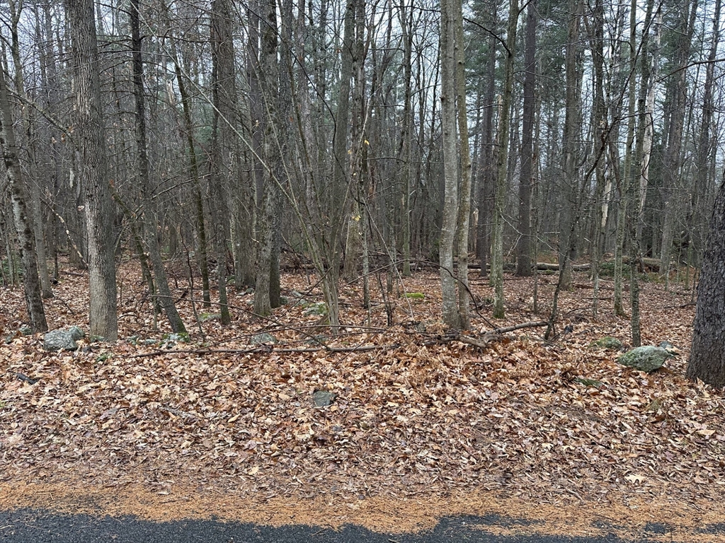 Lot 2 Rhodes Rd, Princeton, Massachusetts, ,Land,For Sale,Rhodes Rd,73315731