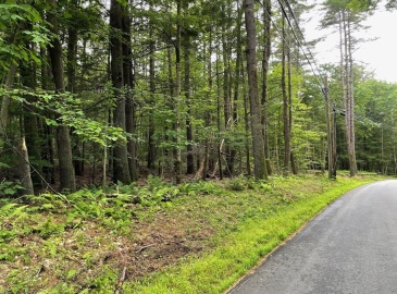 0 S. Mountain Road, Northfield, Massachusetts, ,Land,For Sale,S. Mountain Road,73269429