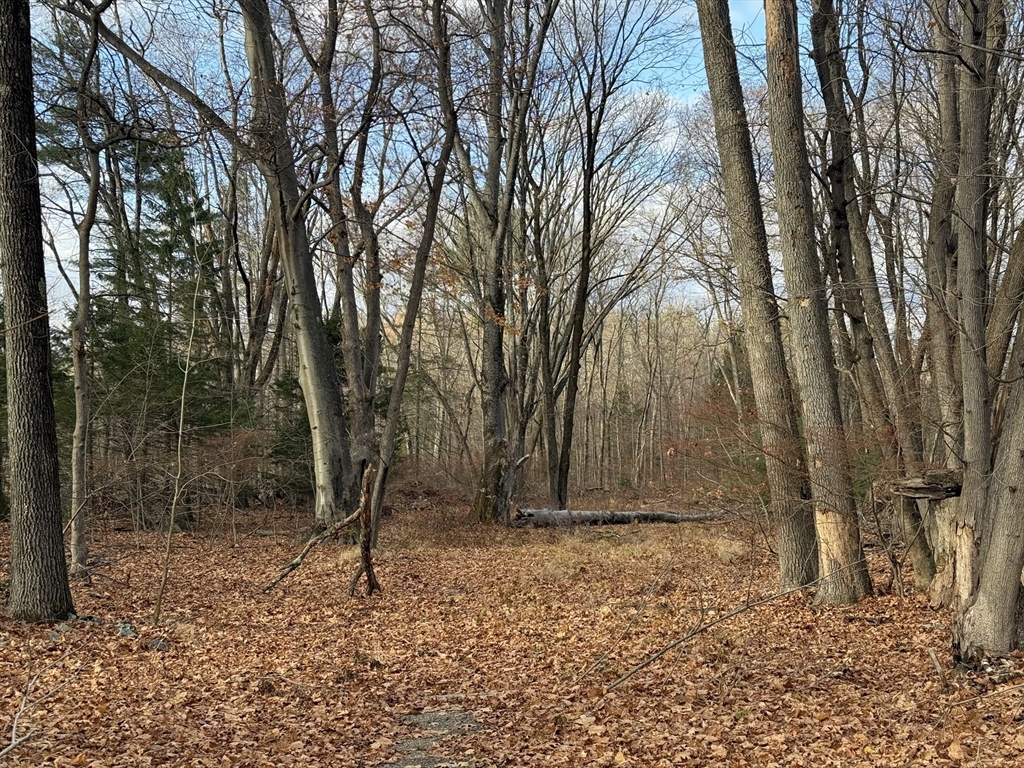 56 Winch St, Framingham, Massachusetts, ,Land,For Sale,Winch St,73316200