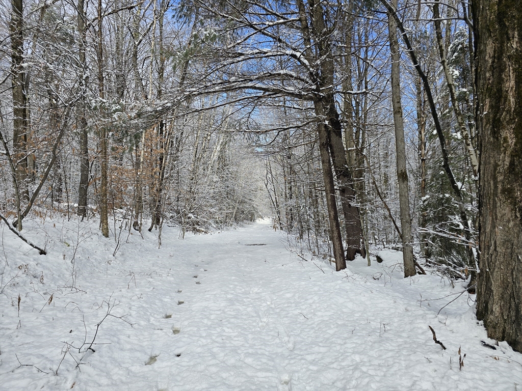 0 Magee Rd, Stamford, Vermont, ,Land,For Sale,Magee Rd,73316675