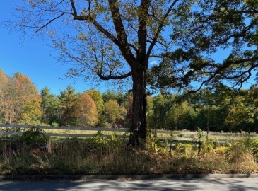 720 A Williamsville Rd, Barre, Massachusetts, ,Land,For Sale,Williamsville Rd,73300557