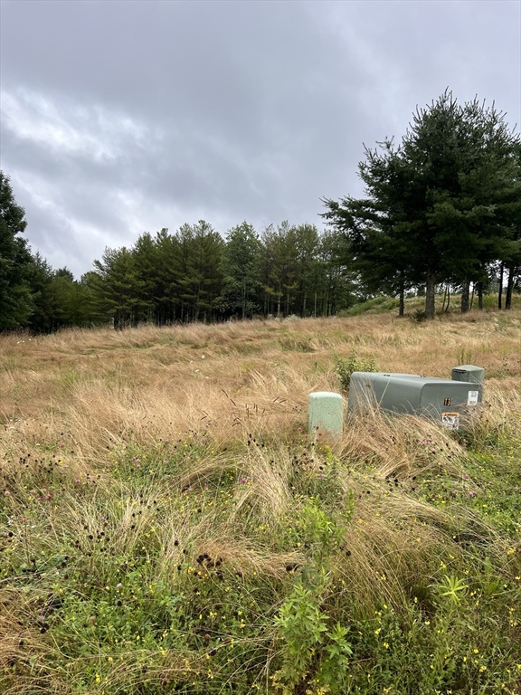 Lot 8 Piasta Rd, Dudley, Massachusetts, ,Land,For Sale,Piasta Rd,73282930