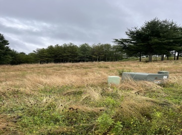 Lot 8 Piasta Rd, Dudley, Massachusetts, ,Land,For Sale,Piasta Rd,73282930