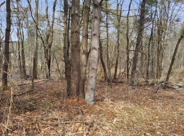 0 Sandersdale Rd, Charlton, Massachusetts, ,Land,For Sale,Sandersdale Rd,73217694