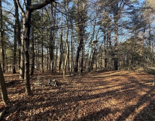 0 Lyman Barnes Rd, Brimfield, Massachusetts, ,Land,For Sale,Lyman Barnes Rd,73318202