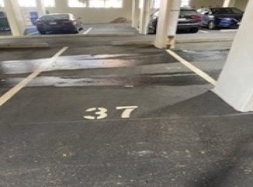 872 Massachusetts Avenue 37, Cambridge, Massachusetts, ,Land,For Sale,Massachusetts Avenue 37,73313316