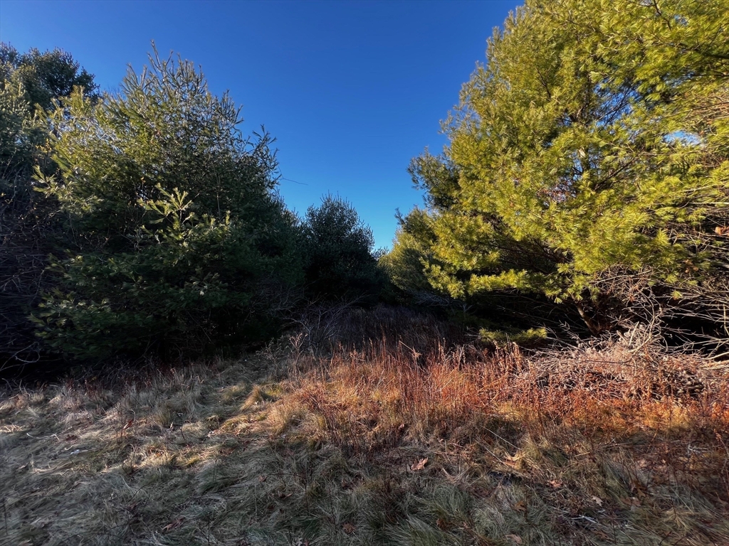 480 Wareham St., Middleboro, Massachusetts, ,Land,For Sale,Wareham St.,73318684