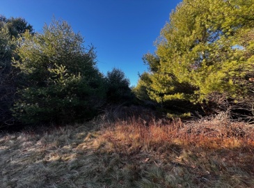 480 Wareham St., Middleboro, Massachusetts, ,Land,For Sale,Wareham St.,73318684