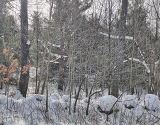 lot 3 Skyline, Chester, Massachusetts, ,Land,For Sale,Skyline,73318926