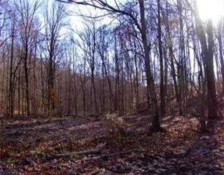 474 Mountain Road, Wilbraham, Massachusetts, ,Land,For Sale,Mountain Road,73318965