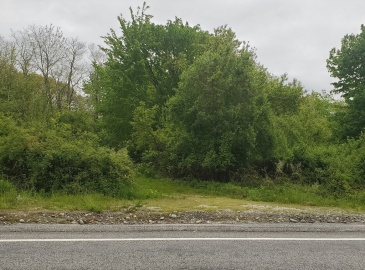 00 Bulgarmarsh Rd, Tiverton, Rhode Island, ,Land,For Sale,Bulgarmarsh Rd,73244766