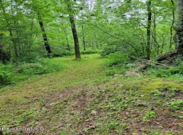 331 Shaw Road, Windsor, Massachusetts, ,Land,For Sale,Shaw Road,73221642