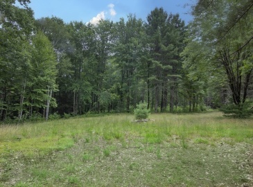 0 Mass Turnpike Rd, Russell, Massachusetts, ,Land,For Sale,Mass Turnpike Rd,73320508