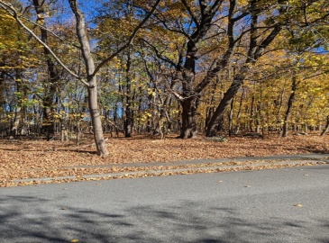 8 Old Colony Drive, Westborough, Massachusetts, ,Land,For Sale,Old Colony Drive,73311063