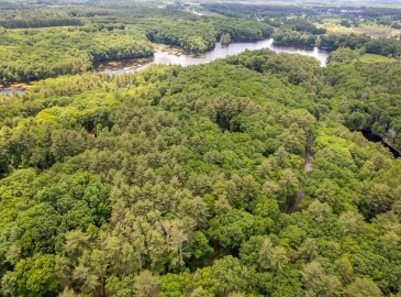0 South Great Road, Lincoln, Massachusetts, ,Land,For Sale,South Great Road,73251788