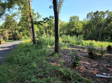 Lot 6 Cold Hill Rd, Granby, Massachusetts, ,Land,For Sale,Cold Hill Rd,73321057