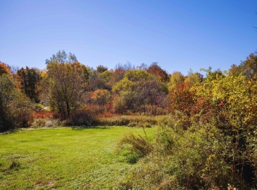 16 Low St, Newbury, Massachusetts, ,Land,For Sale,Low St,73300207