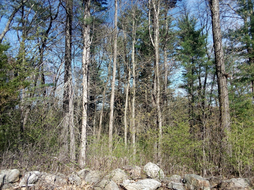 234 Wickaboag, West Brookfield, Massachusetts, ,Land,For Sale,Wickaboag,73322934