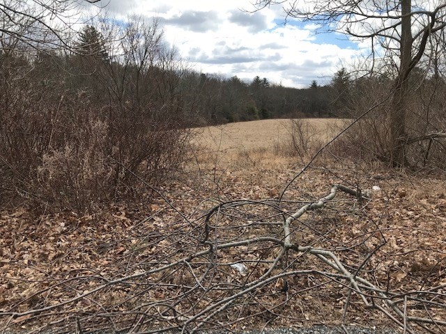 1139 West Street, Wrentham, Massachusetts, ,Land,For Sale,West Street,73323006