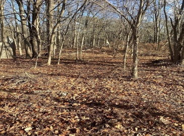 0 Prospect, Brockton, Massachusetts, ,Land,For Sale,Prospect,73324050