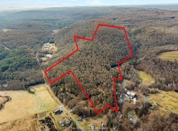63 Granby Rd, Granville, Massachusetts, ,Land,For Sale,Granby Rd,73268169