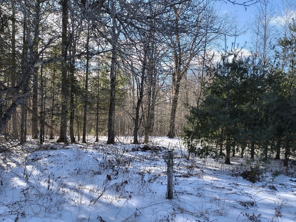 lot B Ridge Road, Worthington, Massachusetts, ,Land,For Sale,Ridge Road,73324195
