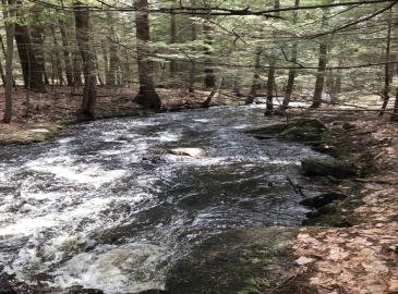 00 West Street, Winchendon, Massachusetts, ,Land,For Sale,West Street,73293693