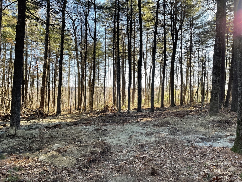 Lot 38B Michael Sears, Belchertown, Massachusetts, ,Land,For Sale,Michael Sears,73326254