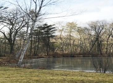 0 Judy Farm Road, Carlisle, Massachusetts, ,Land,For Sale,Judy Farm Road,73326447