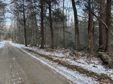 0 Old Stage Rd, Ashfield, Massachusetts, ,Land,For Sale,Old Stage Rd,73326639