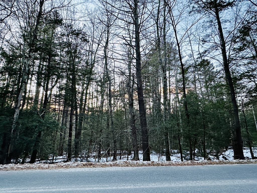 0 Shaw Road, Cummington, Massachusetts, ,Land,For Sale,Shaw Road,73327378