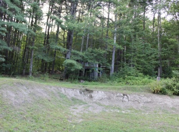 45 Dwight Cross Rd, Colrain, Massachusetts, ,Land,For Sale,Dwight Cross Rd,73281790