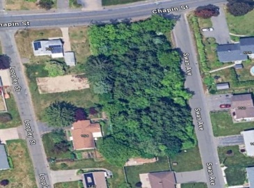 0 Chapin St, Ludlow, Massachusetts, ,Land,For Sale,Chapin St,73306741