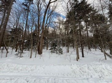 0 Manley Phelps Road, Monroe, Massachusetts, ,Land,For Sale,Manley Phelps Road,73331720