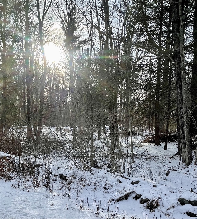 Lot 6 Colebrook River Rd, Tolland, Massachusetts, ,Land,For Sale,Colebrook River Rd,73331748