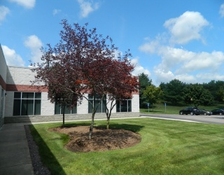 200 Stonewall Boulevard, Wrentham, Massachusetts, ,Commercial Lease,For Rent,Stonewall Boulevard,73333175