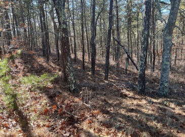 0 Tirrells Way, Chatham, Massachusetts, ,Land,For Sale,Tirrells Way,73335329