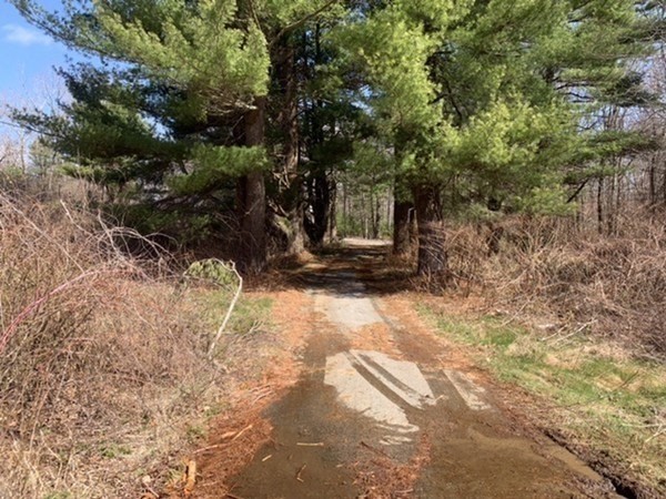 1212 Southbridge Rd, Warren, Massachusetts, ,Land,For Sale,Southbridge Rd,73335369
