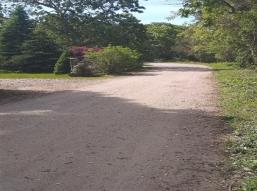 11A Duarte Circle, Edgartown, Massachusetts, ,Land,For Sale,Duarte Circle,73336843