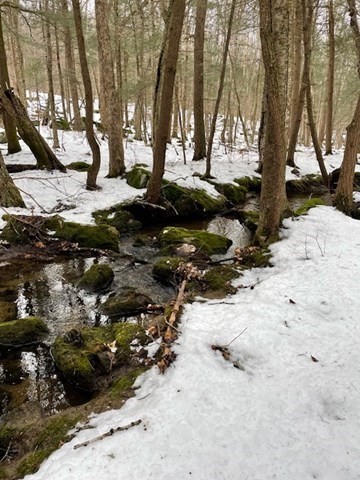 lot 13 Skyline, Chester, Massachusetts, ,Land,For Sale,Skyline,73342032