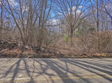 24 New Street, Rehoboth, Massachusetts, ,Land,For Sale,New Street,73346556