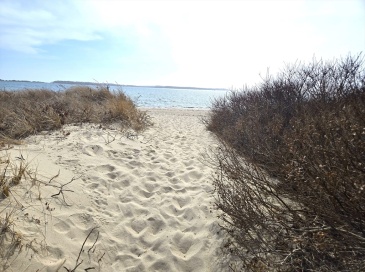 23 Baxter Ave, Yarmouth, Massachusetts, ,Land,For Sale,Baxter Ave,73346560