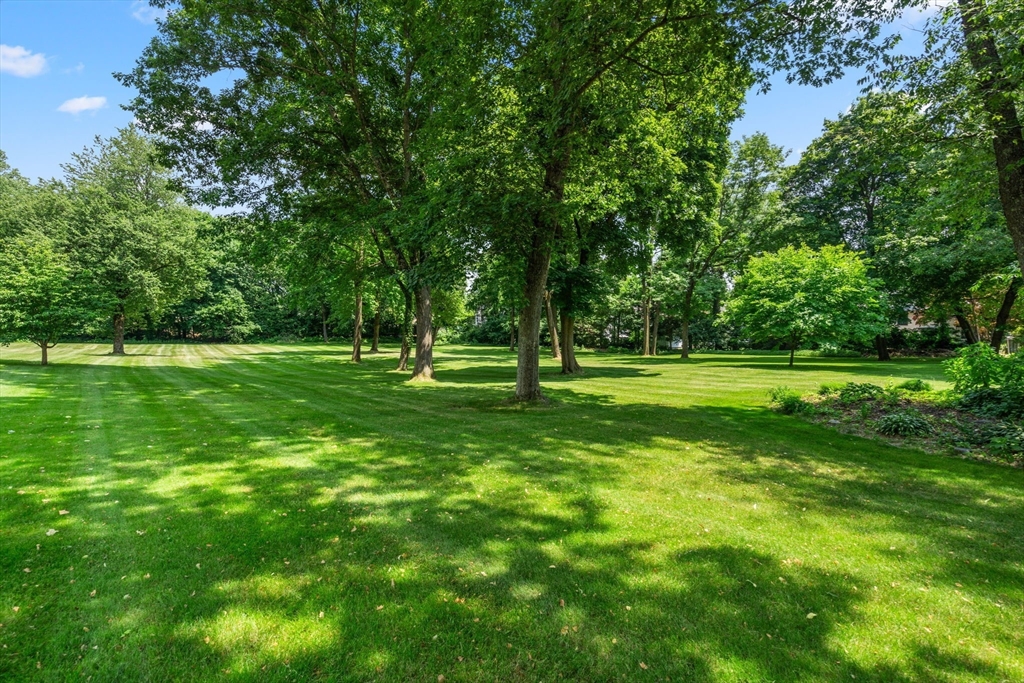 3 Suburban Rd, Worcester, Massachusetts, ,Land,For Sale,Suburban Rd,73349314