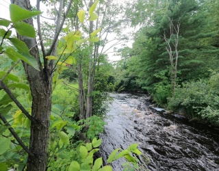 3 Lots Mill St, Templeton, Massachusetts, ,Land,For Sale,Mill St,73349683