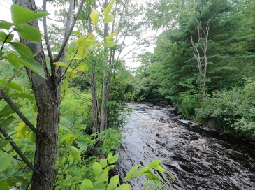 3 Lots Mill St, Templeton, Massachusetts, ,Land,For Sale,Mill St,73349683