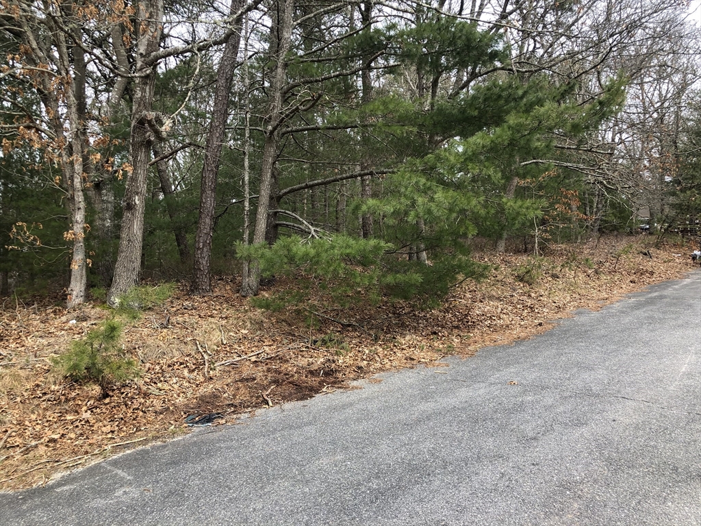 30 Wings Ln, Barnstable, Massachusetts, ,Land,For Sale,Wings Ln,73355773