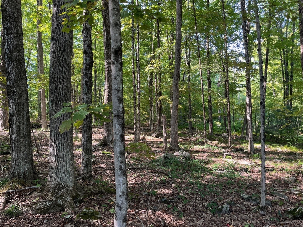 26 Old Brooks Station Rd, Princeton, Massachusetts, ,Land,For Sale,Old Brooks Station Rd,73289361