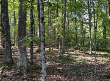 26 Old Brooks Station Rd, Princeton, Massachusetts, ,Land,For Sale,Old Brooks Station Rd,73289361