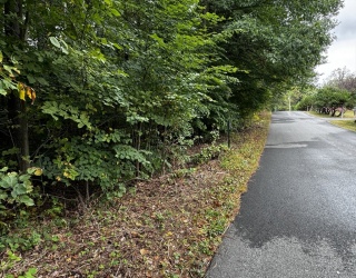 63 Holman Street, Lunenburg, Massachusetts, ,Land,For Sale,Holman Street,73301904